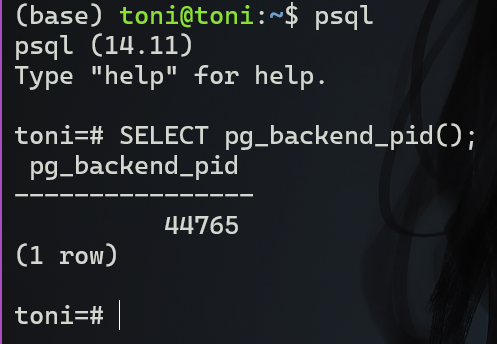 pg_backend_pid